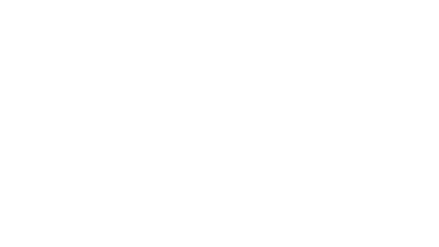 Penguin King
